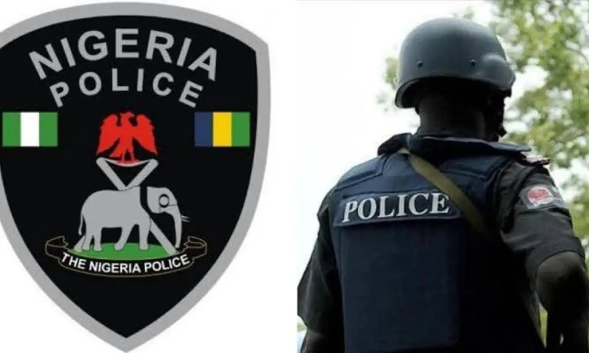 Nigerian Police Arrest 523 Suspects, Rescue 102 Kidnap Victims in Kaduna