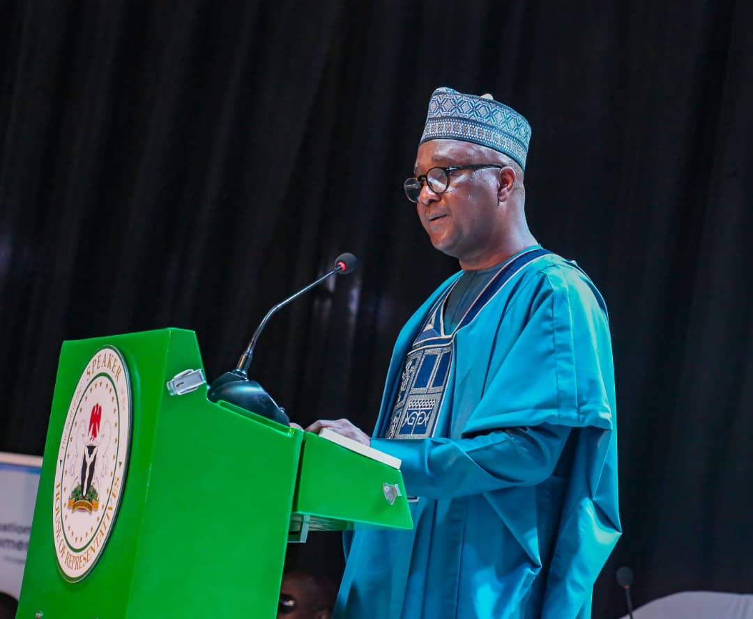 House Debates Bill to Make Voting Mandatory in Nigeria