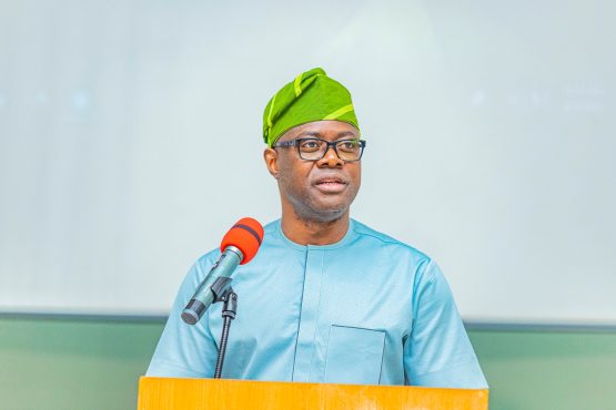 Seyi Makinde2