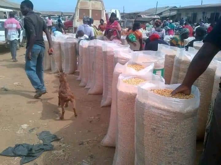 CBN efforts yield results as inflation dips to 22.22%, but food prices remain stubborn