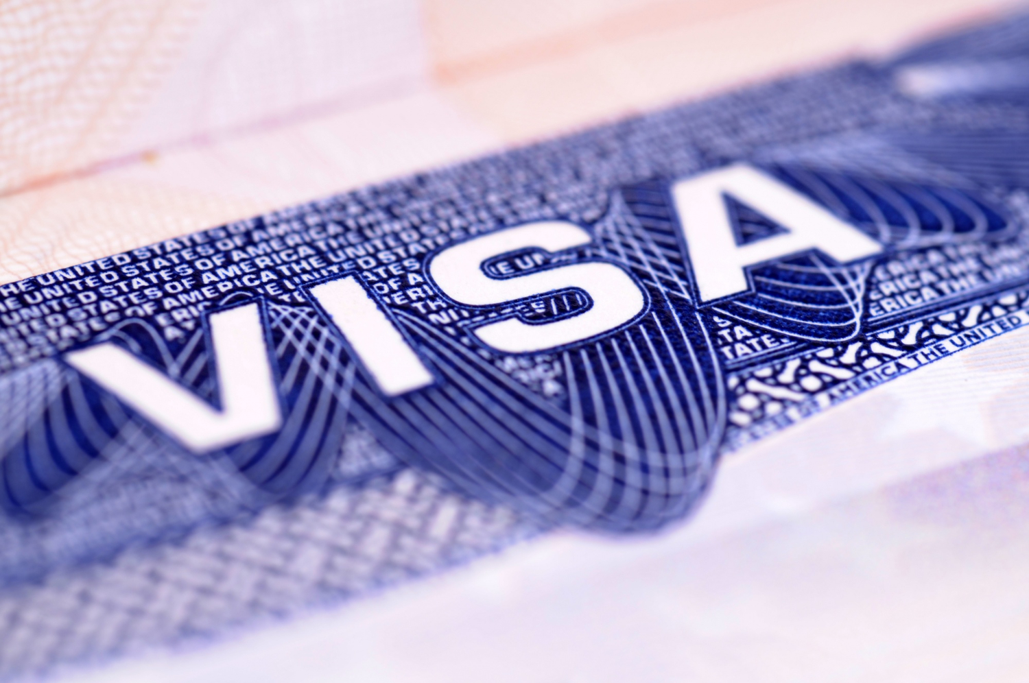 Nigerian government challenges new US visa rules