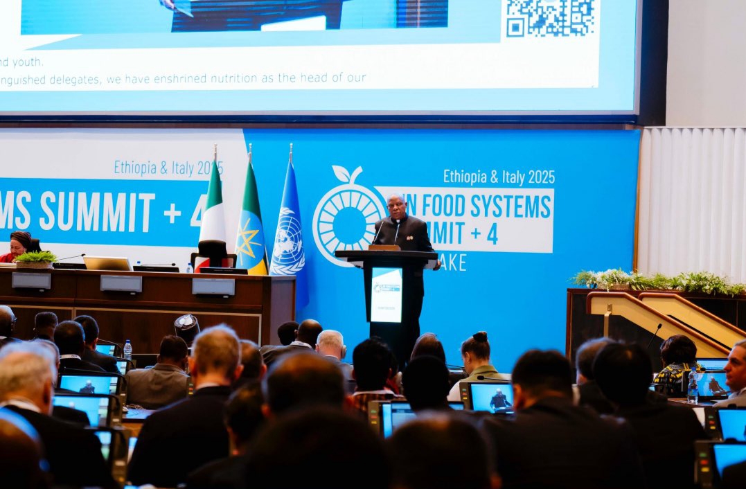 Nigeria advocates collective global action against food insecurity at UN summit