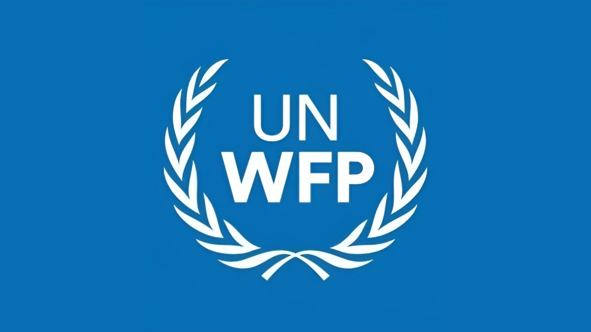 WFP to suspend emergency food aid in northeast Nigeria amid severe funding crisis