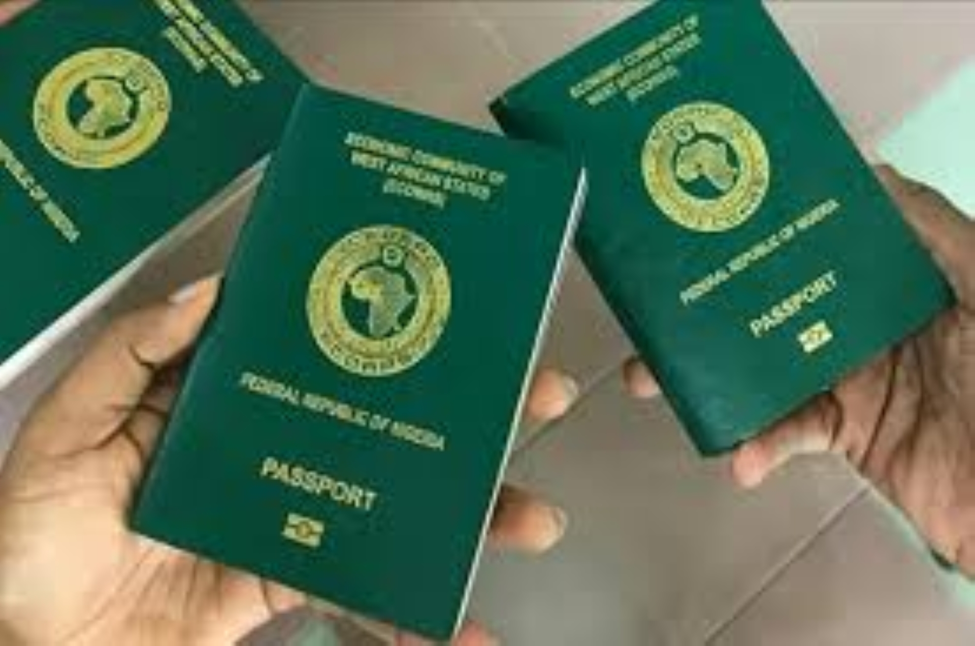 NIS raises standard passport fees one year after last increase