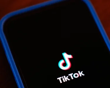 Bokbik