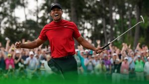 Woods