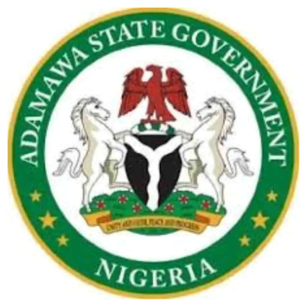 ‎Adamawa Govt Confirms Heavy Losses as Fire Guts Dumne Grains Market  ‎