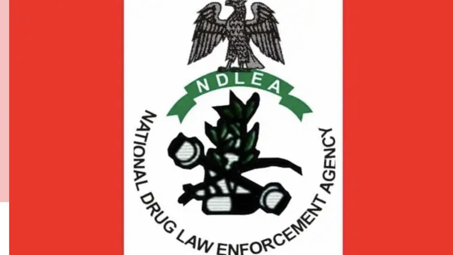 NDLEA Reports 77,792 Arrests, 14,225 Convictions, and Over 14.8 Million Kilograms of Drugs Seized in Five Years