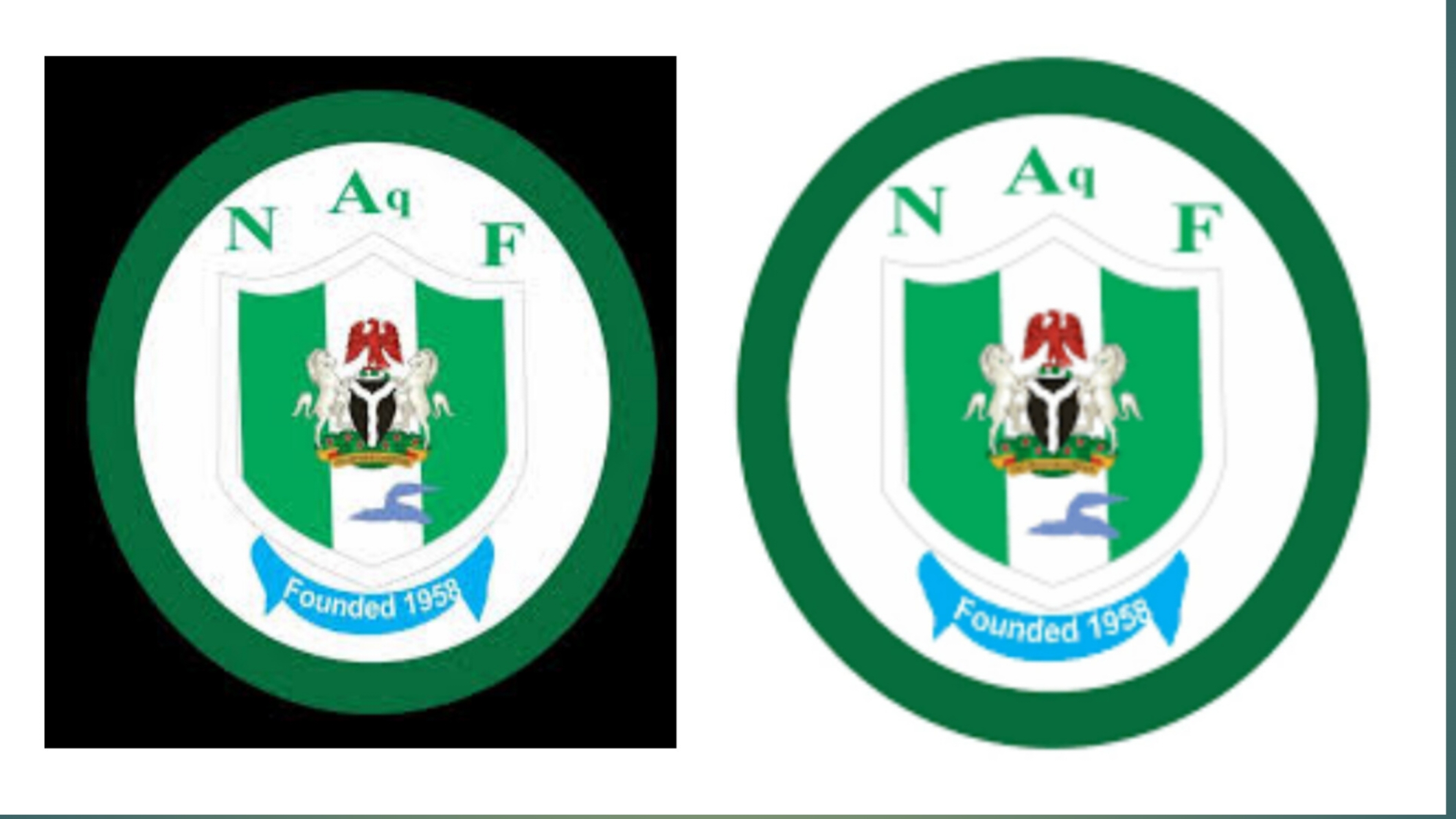 Aquatics Federation Rolls Out Grassroots Swimming Drive For 2026