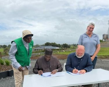 Gombe New Zealand 750x536