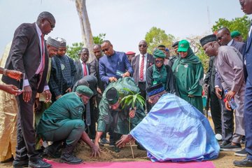 ‎Bauchi at 50: Gov Bala Leads Tree-Planting Drive, Renames Eagle Sino Park