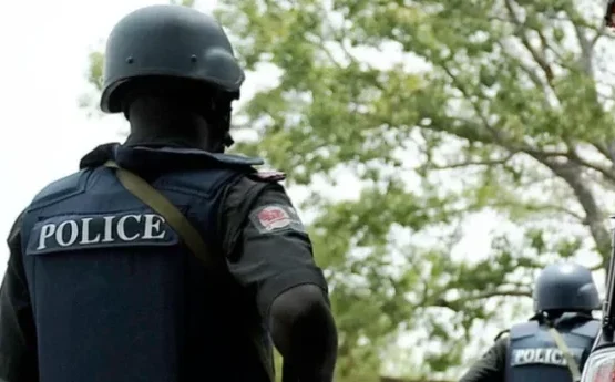 Police 696x410 15 585x345