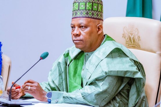 Shettima 1024x750