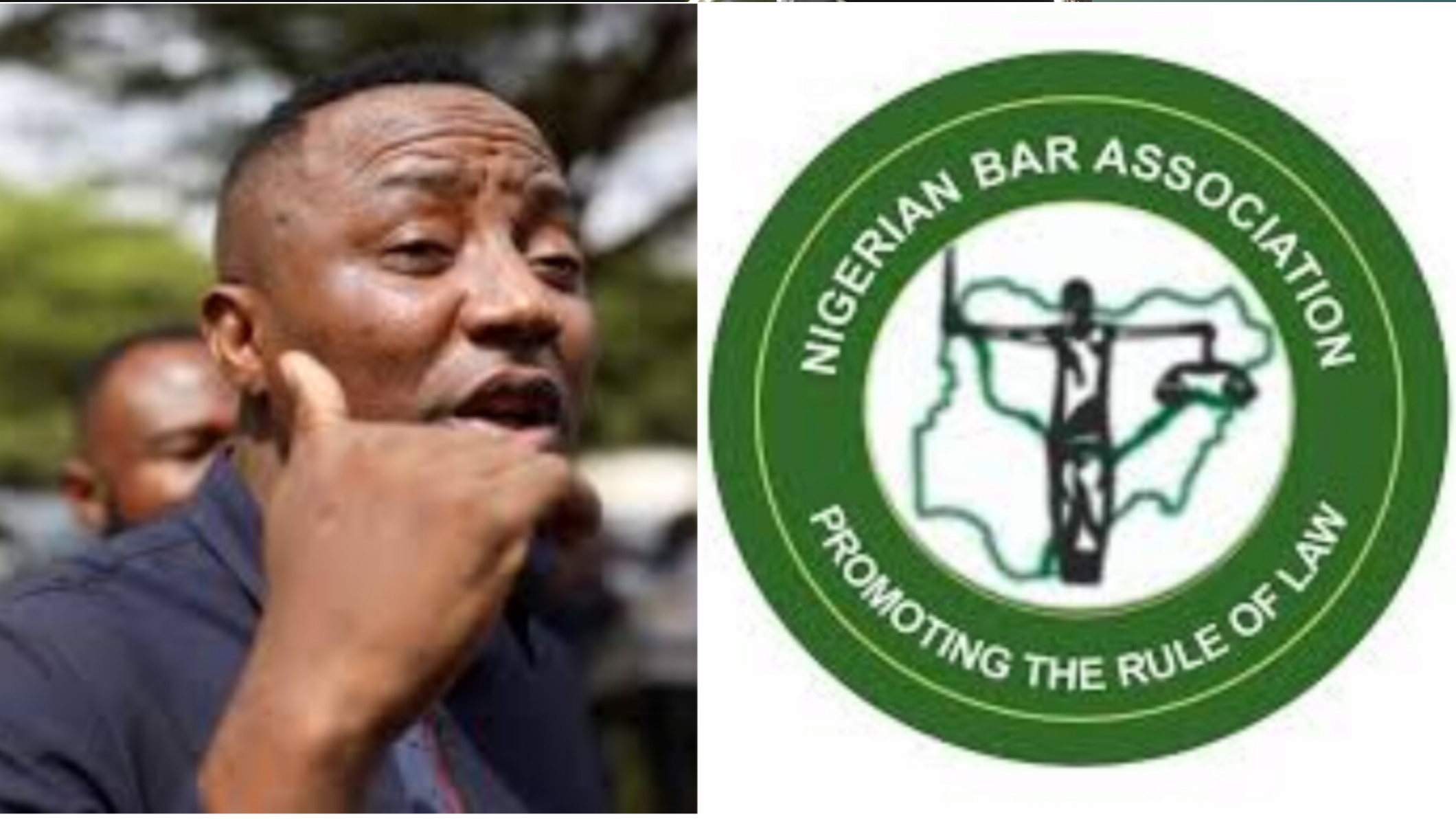 NBA Condemns Order by Justice Mohammed Umar For Lawyer to Kneel in Court