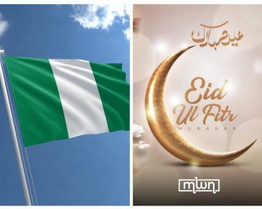 20260317 172809 Collage