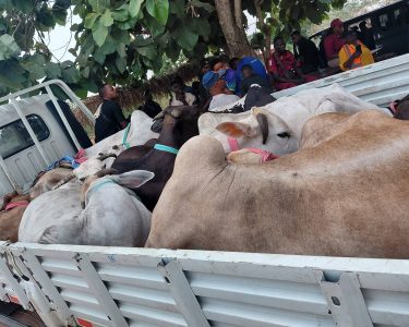 Fb Img 1773942338921~2