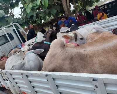 Fb Img 1773942338921~2