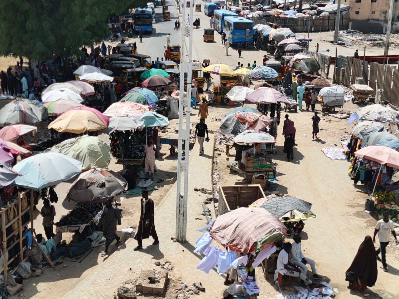 From Cold to Scorching Sun: Changing Weather Patterns Worry Residents in Maiduguri