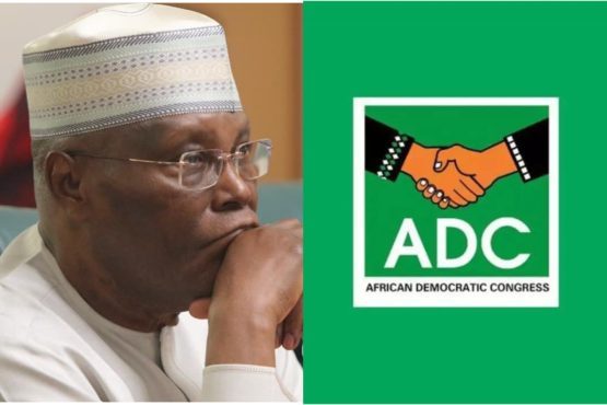 Inshot 20260210 230421430