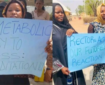 Mixcollage 17 Mar 2026 08 28 Am 2598 1024x492