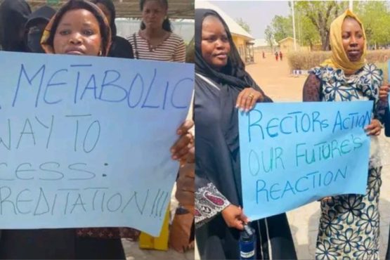 Mixcollage 17 Mar 2026 08 28 Am 2598 1024x492