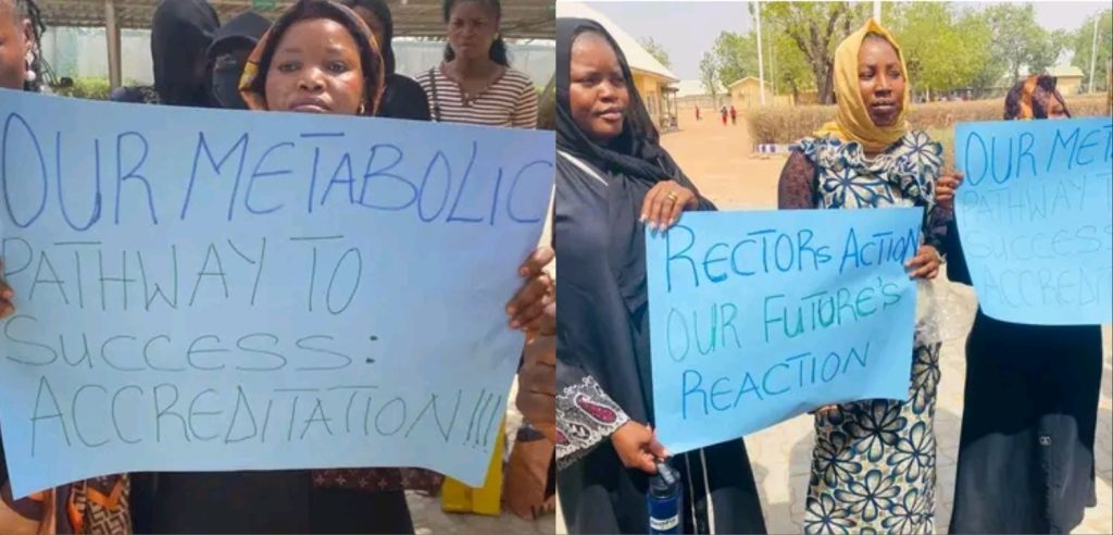 Unaccredited Programmes: Adamawa Polytechnic Graduates Protest NYSC Delay