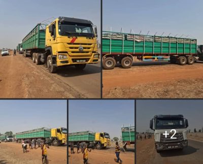 Mobile Court Moves Against Illegal Mining