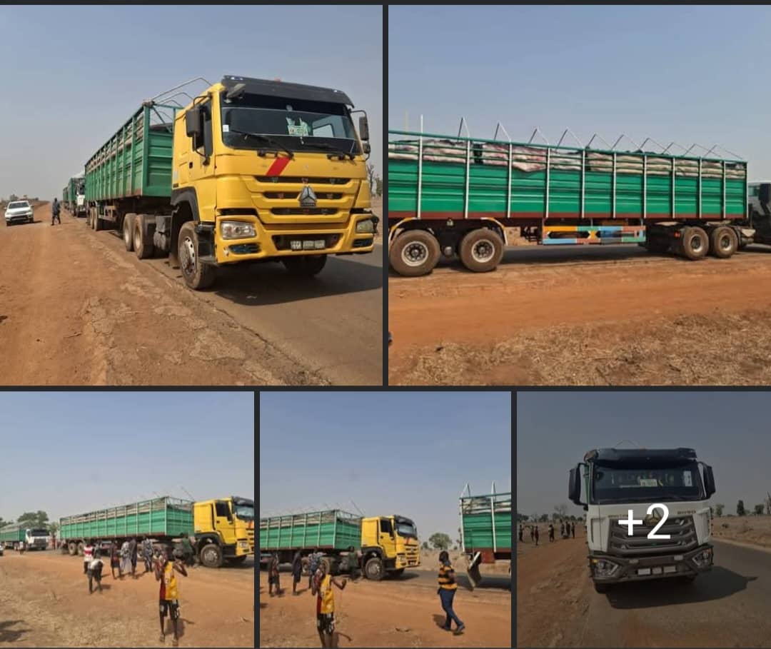 Taraba Mobile Court Impounds Trucks Over Alleged Illegal Mining in Wukari