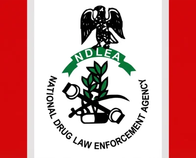 National Drug Law Enforcement Agency Logo 1