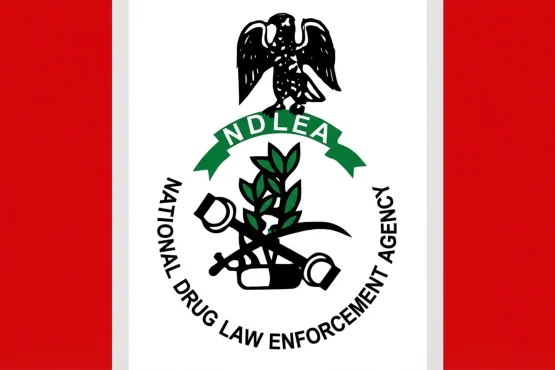 National Drug Law Enforcement Agency Logo 1