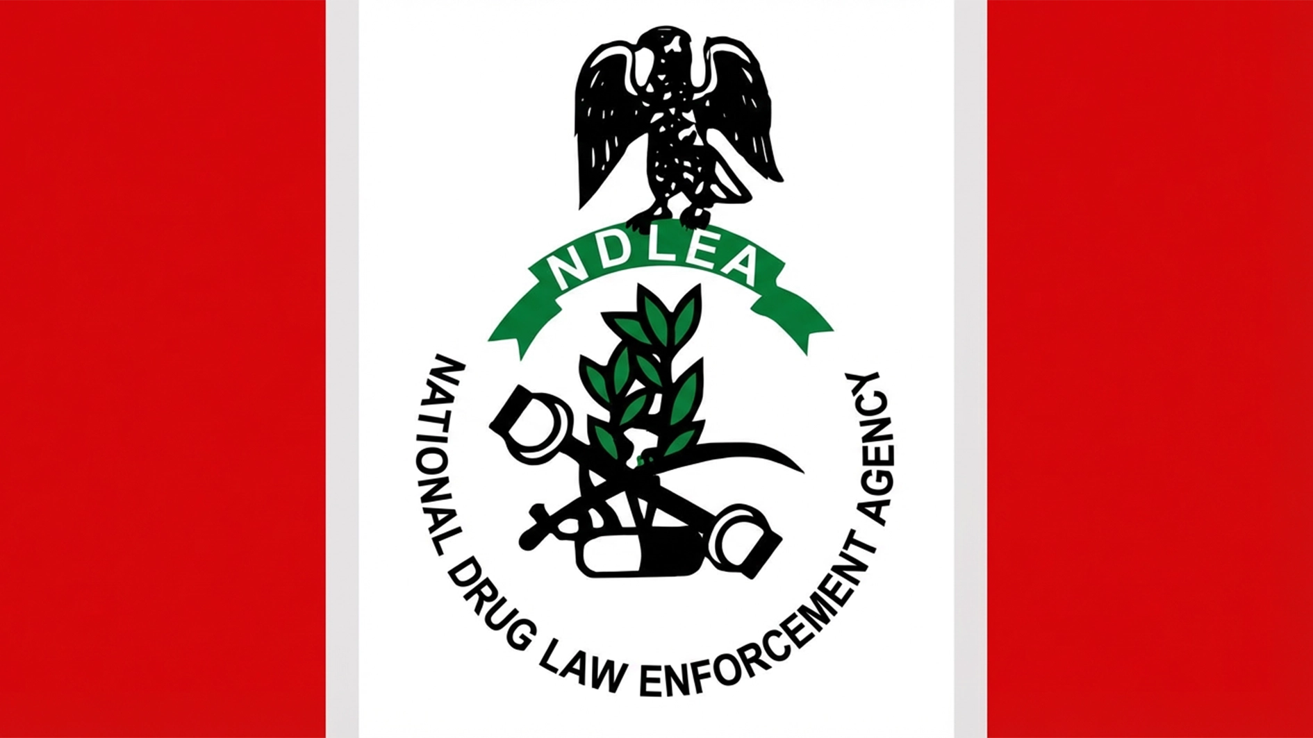 NDLEA Arrests Alleged Drug Kingpin After Years on the Run