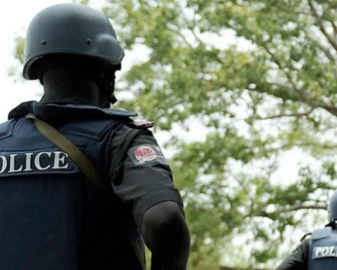 Nigerian Police 704x415