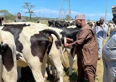 Taraba Livestock 640x283