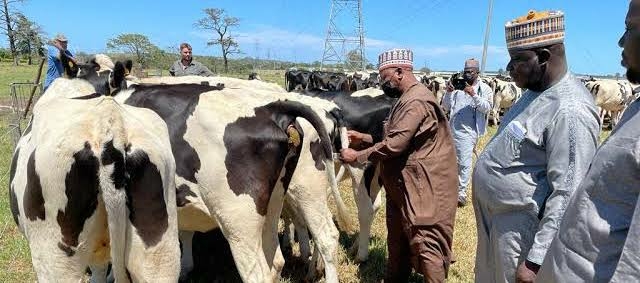 Taraba to Establish PPP-driven livestock service center under L-PRES initiative