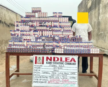 D15be01a Ec0b 42c6 8dc7 5a797876c92e.jpg