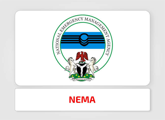 NEMA begins distribution of relief items to Adamawa flood victims