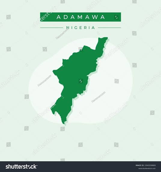 Corpse of 46-Year-Old Man Found Hanging on Tree in Adamawa