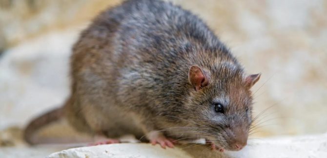 27053881679 75c7cd5fcd K