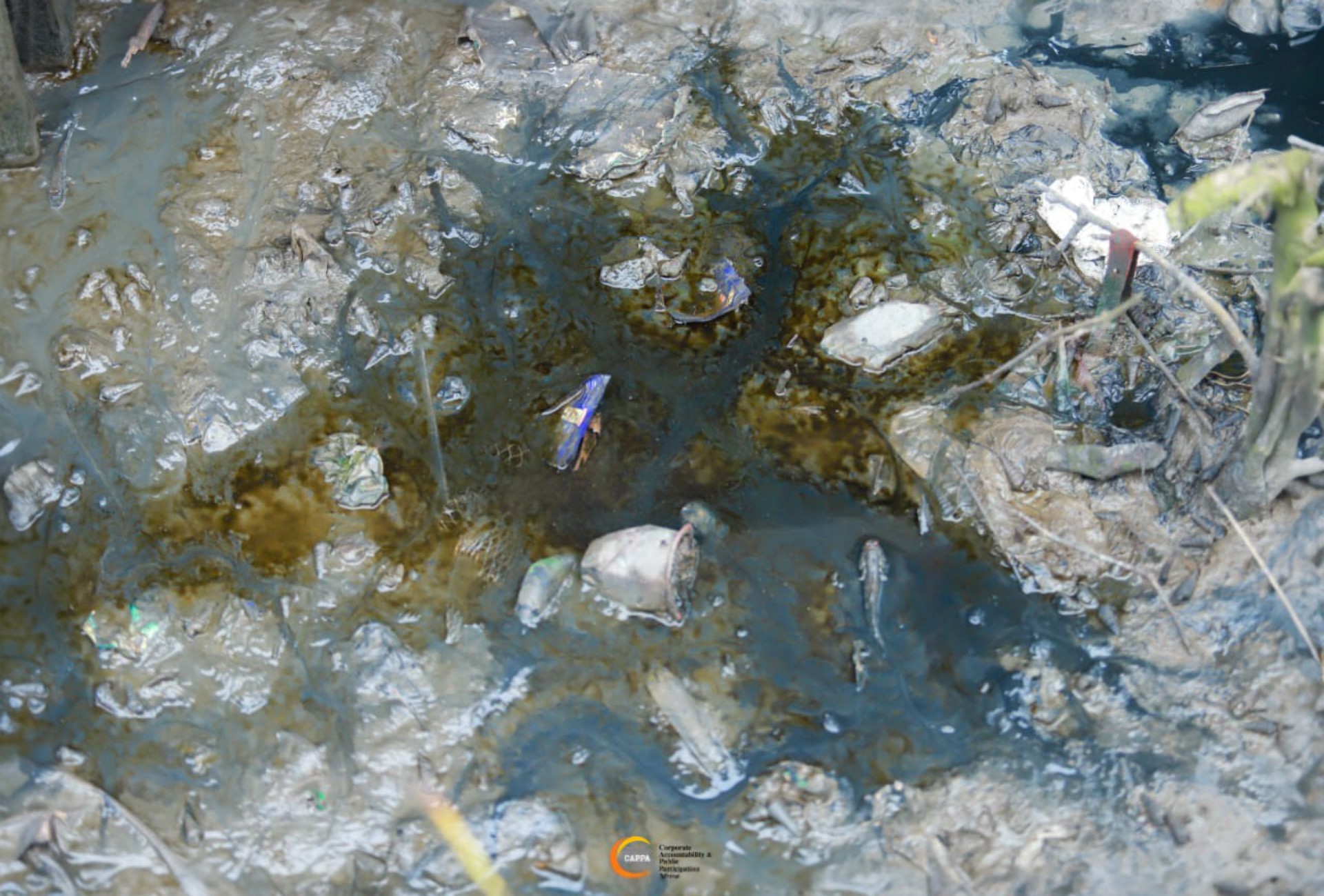 CAPPA Decries Worsening Effects of Oil Spill, Ocean Surge in Abereke, Demands Immediate Government Response