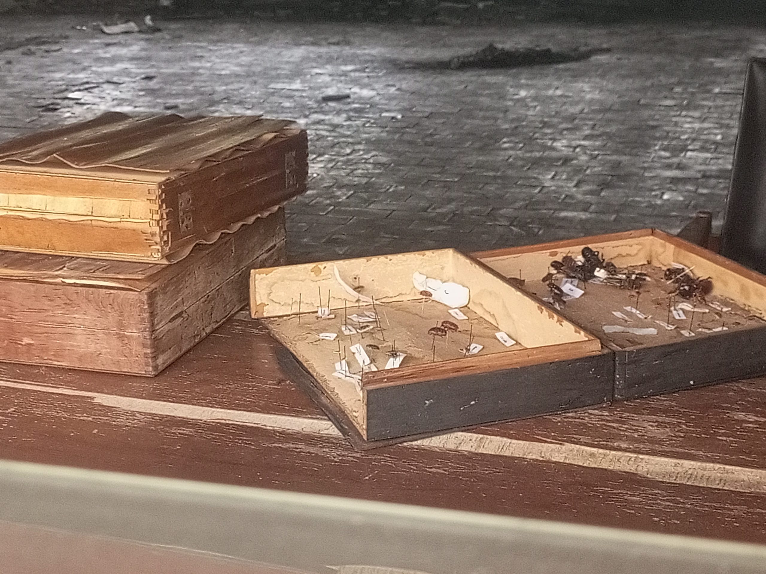 Img 20260408 155141 854