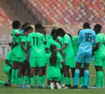 Falconets