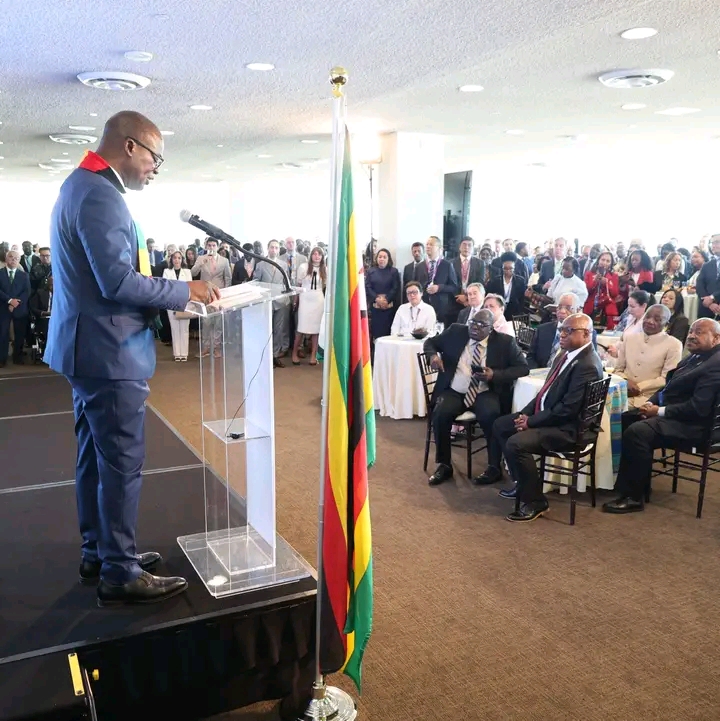 Zimbabwe Elected Non-Permanent Member of UN Security Council, Replacing Somalia for 2027-2028