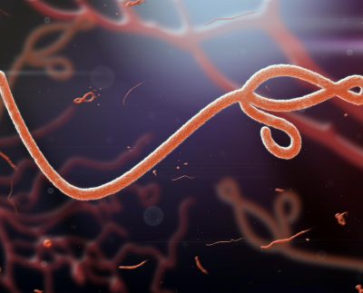 Ebolaandhemorrhagicfevers Share