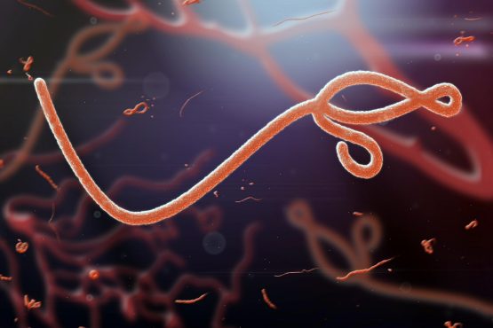 Ebolaandhemorrhagicfevers Share