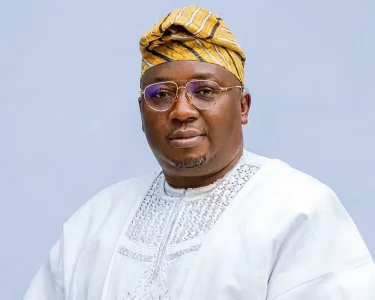 Minister Of Power Adebayo Adelabu