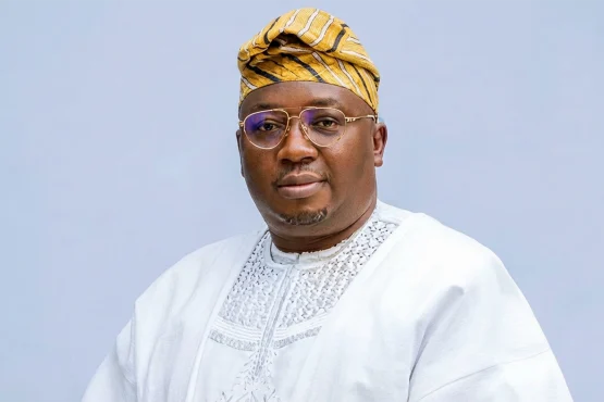 Minister Of Power Adebayo Adelabu