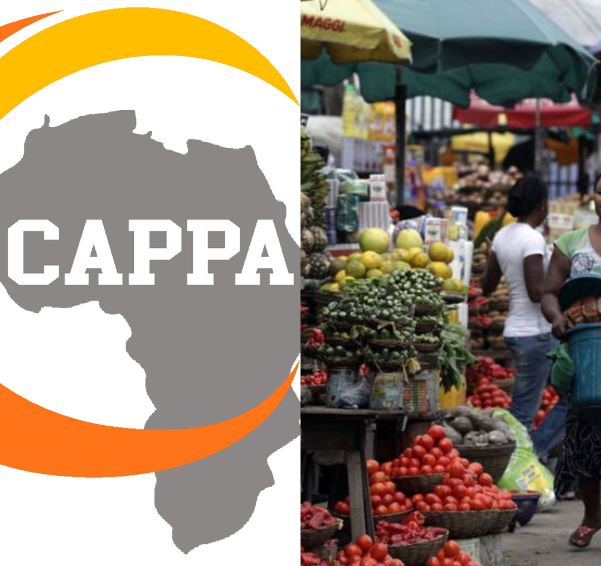 World Food Safety Day: CAPPA Urges Stronger Policies to Combat Diet-Related Diseases in Nigeria