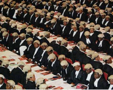 Lawyers