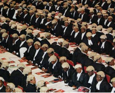 Lawyers
