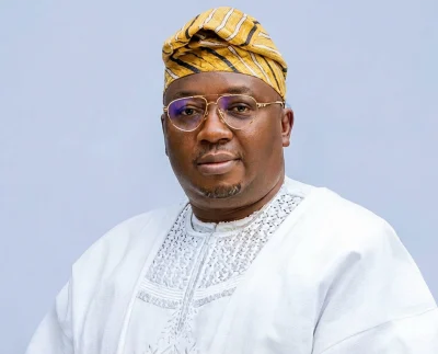 Minister Of Power Adebayo Adelabu